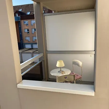 à Haguenau, à 25mn De Strasbourg Appartement *
